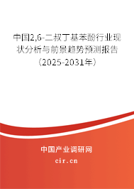 中國2,6-二叔丁基苯酚行業(yè)現(xiàn)狀分析與前景趨勢預(yù)測報告（2025-2031年）