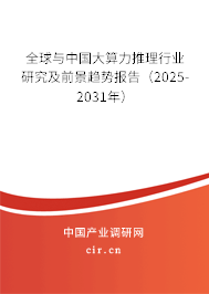 全球與中國大算力推理行業(yè)研究及前景趨勢報告（2025-2031年）