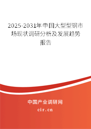 2025-2031年中國(guó)大型型鋼市場(chǎng)現(xiàn)狀調(diào)研分析及發(fā)展趨勢(shì)報(bào)告