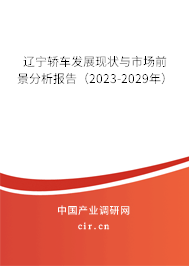 遼寧轎車發(fā)展現(xiàn)狀與市場前景分析報告（2023-2029年）