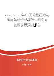 2025-2031年中國輪胎壓力與溫度集成傳感器行業(yè)研究與發(fā)展前景預(yù)測報告
