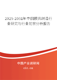 2025-2031年中國(guó)模具制造行業(yè)研究與行業(yè)前景分析報(bào)告