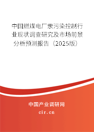 中國燃煤電廠汞污染控制行業(yè)現(xiàn)狀調(diào)查研究及市場前景分析預(yù)測報告（2025版）