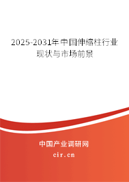 2025-2031年中國(guó)伸縮柱行業(yè)現(xiàn)狀與市場(chǎng)前景