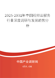 2025-2031年中國視頻云服務(wù)行業(yè)深度調(diào)研與發(fā)展趨勢分析