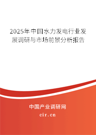 2025年中國水力發(fā)電行業(yè)發(fā)展調(diào)研與市場前景分析報告