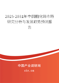 2025-2031年中國(guó)糖化酶市場(chǎng)研究分析與發(fā)展趨勢(shì)預(yù)測(cè)報(bào)告