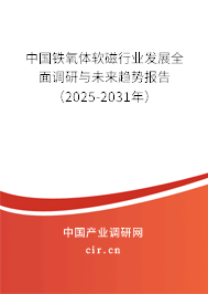 中國鐵氧體軟磁行業(yè)發(fā)展全面調(diào)研與未來趨勢報(bào)告（2025-2031年）