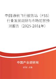 中國(guó)通航飛行服務(wù)站（FSS）行業(yè)發(fā)展調(diào)研與市場(chǎng)前景預(yù)測(cè)報(bào)告（2025-2031年）