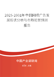 2024-2030年中國網(wǎng)絡廣告發(fā)展現(xiàn)狀分析與市場前景預測報告