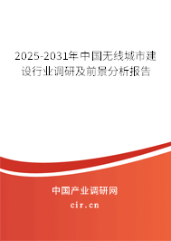 2025-2031年中國無線城市建設(shè)行業(yè)調(diào)研及前景分析報告