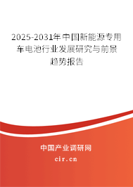 2025-2031年中國(guó)新能源專用車(chē)電池行業(yè)發(fā)展研究與前景趨勢(shì)報(bào)告