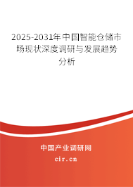 2025-2031年中國智能倉儲市場現(xiàn)狀深度調(diào)研與發(fā)展趨勢分析
