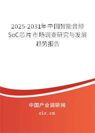 2025-2031年中國智能音頻SoC芯片市場調(diào)查研究與發(fā)展趨勢報告
