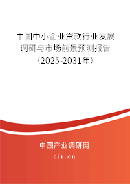 中國(guó)中小企業(yè)貸款行業(yè)發(fā)展調(diào)研與市場(chǎng)前景預(yù)測(cè)報(bào)告（2025-2031年）