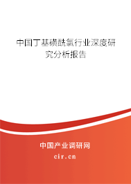 中國丁基磺酰氯行業(yè)深度研究分析報(bào)告