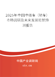 2025年中國中級車（轎車）市場調(diào)研及未來發(fā)展前景預(yù)測報告