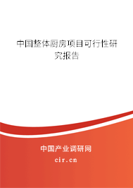 中國整體廚房項目可行性研究報告