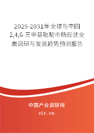 2025-2031年全球與中國2,4,6-三甲基吡啶市場現(xiàn)狀全面調(diào)研與發(fā)展趨勢預(yù)測報告