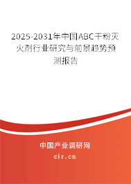 2025-2031年中國ABC干粉滅火劑行業(yè)研究與前景趨勢預(yù)測報告
