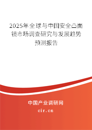 2025年全球與中國(guó)安全凸面鏡市場(chǎng)調(diào)查研究與發(fā)展趨勢(shì)預(yù)測(cè)報(bào)告