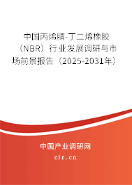 中國丙烯腈-丁二烯橡膠（NBR）行業(yè)發(fā)展調研與市場前景報告（2025-2031年）