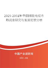 2025-2031年中國儲能電纜市場調(diào)查研究與發(fā)展前景分析