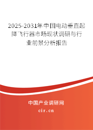 2025-2031年中國電動垂直起降飛行器市場現(xiàn)狀調(diào)研與行業(yè)前景分析報(bào)告