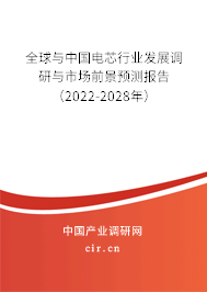全球與中國電芯行業(yè)發(fā)展調(diào)研與市場前景預測報告（2022-2028年）