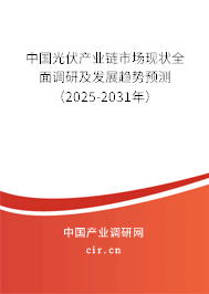 中國(guó)光伏產(chǎn)業(yè)鏈?zhǔn)袌?chǎng)現(xiàn)狀全面調(diào)研及發(fā)展趨勢(shì)預(yù)測(cè)（2025-2031年）
