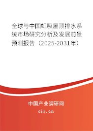 全球與中國(guó)虹吸屋頂排水系統(tǒng)市場(chǎng)研究分析及發(fā)展前景預(yù)測(cè)報(bào)告（2025-2031年）