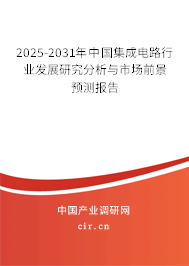 2025-2031年中國(guó)集成電路行業(yè)發(fā)展研究分析與市場(chǎng)前景預(yù)測(cè)報(bào)告