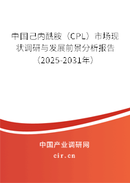 中國(guó)己內(nèi)酰胺（CPL）市場(chǎng)現(xiàn)狀調(diào)研與發(fā)展前景分析報(bào)告（2025-2031年）