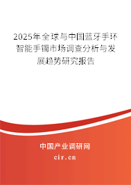 2024年全球與中國藍(lán)牙手環(huán)智能手鐲市場(chǎng)調(diào)查分析與發(fā)展趨勢(shì)研究報(bào)告