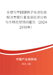 全球與中國鋰離子電池包裝解決方案行業(yè)發(fā)展現(xiàn)狀分析與市場前景預(yù)測報(bào)告（2024-2030年）