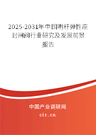 2025-2031年中國明桿彈性座封閘閥行業(yè)研究及發(fā)展前景報(bào)告