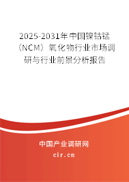 2025-2031年中國鎳鈷錳（NCM）氧化物行業(yè)市場調(diào)研與行業(yè)前景分析報告