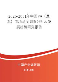 2025-2031年中國(guó)PA（尼龍）市場(chǎng)深度調(diào)查分析及發(fā)展趨勢(shì)研究報(bào)告