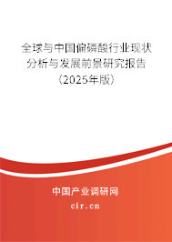 全球與中國偏磷酸行業(yè)現(xiàn)狀分析與發(fā)展前景研究報告（2025年版）
