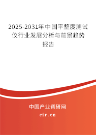 2025-2031年中國平整度測試儀行業(yè)發(fā)展分析與前景趨勢報告