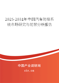 2025-2031年中國(guó)汽車防撞系統(tǒng)市場(chǎng)研究與前景分析報(bào)告