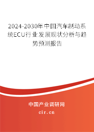 2024-2030年中國汽車制動系統(tǒng)ECU行業(yè)發(fā)展現狀分析與趨勢預測報告