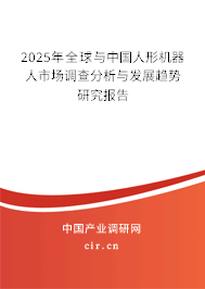 2025年全球與中國人形機器人市場調(diào)查分析與發(fā)展趨勢研究報告