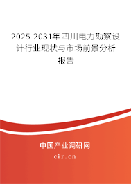 2025-2031年四川電力勘察設(shè)計(jì)行業(yè)現(xiàn)狀與市場(chǎng)前景分析報(bào)告
