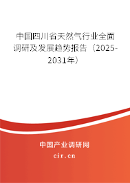 中國四川省天然氣行業(yè)全面調(diào)研及發(fā)展趨勢報告（2025-2031年）