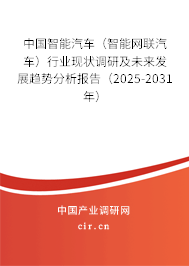 中國智能汽車（智能網(wǎng)聯(lián)汽車）行業(yè)現(xiàn)狀調(diào)研及未來發(fā)展趨勢分析報告（2025-2031年）