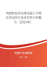 中國智能型電磁流量計市場現(xiàn)狀調(diào)研與發(fā)展前景分析報告（2025年）