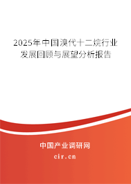2025年中國(guó)溴代十二烷行業(yè)發(fā)展回顧與展望分析報(bào)告
