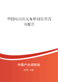 中國電動觀光車項目投資咨詢報告