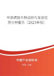 甲基磺酸市場調(diào)研與發(fā)展前景分析報告（2023年版）